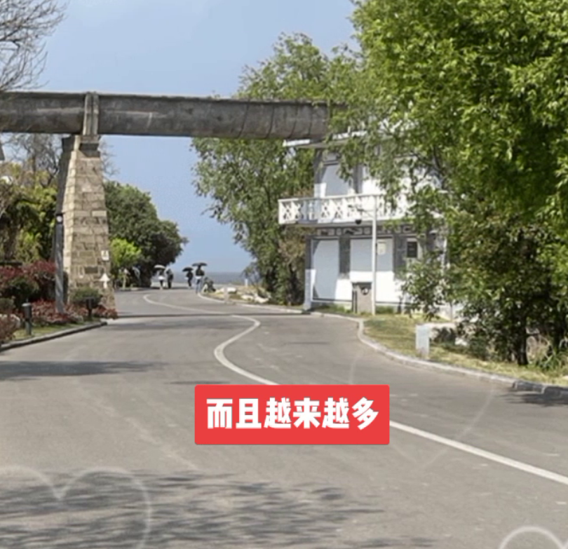 儿童也开始患癌了，而且越来越多，这些食品家长一定要少让孩子吃。
·1、奶茶。各种