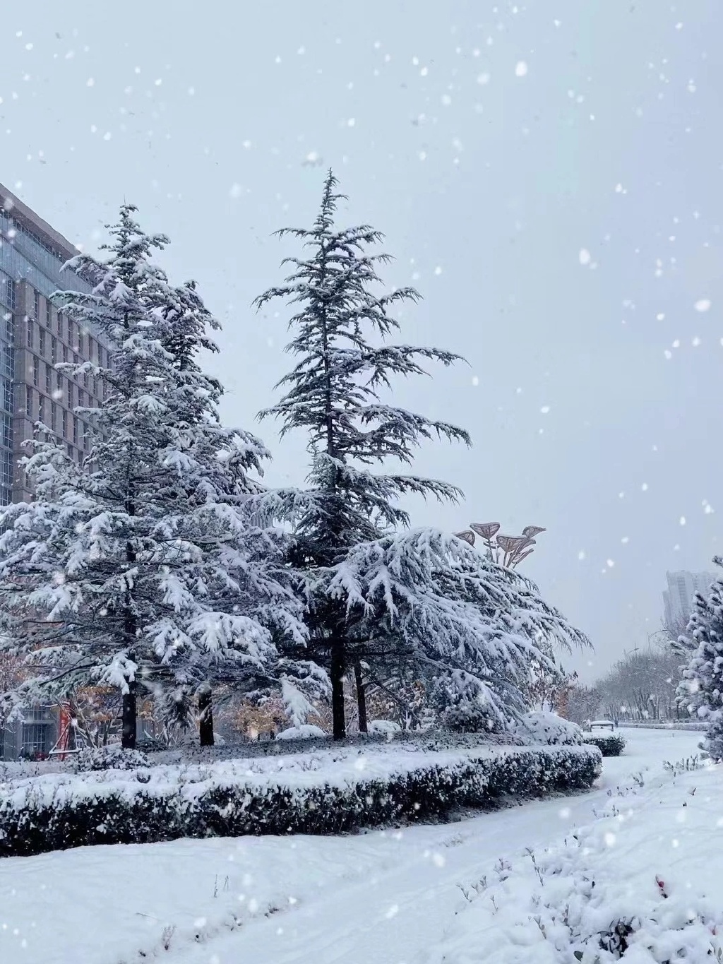 绝美雪景烟台