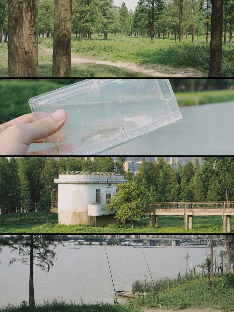 小布村|广佛直达小众大草原