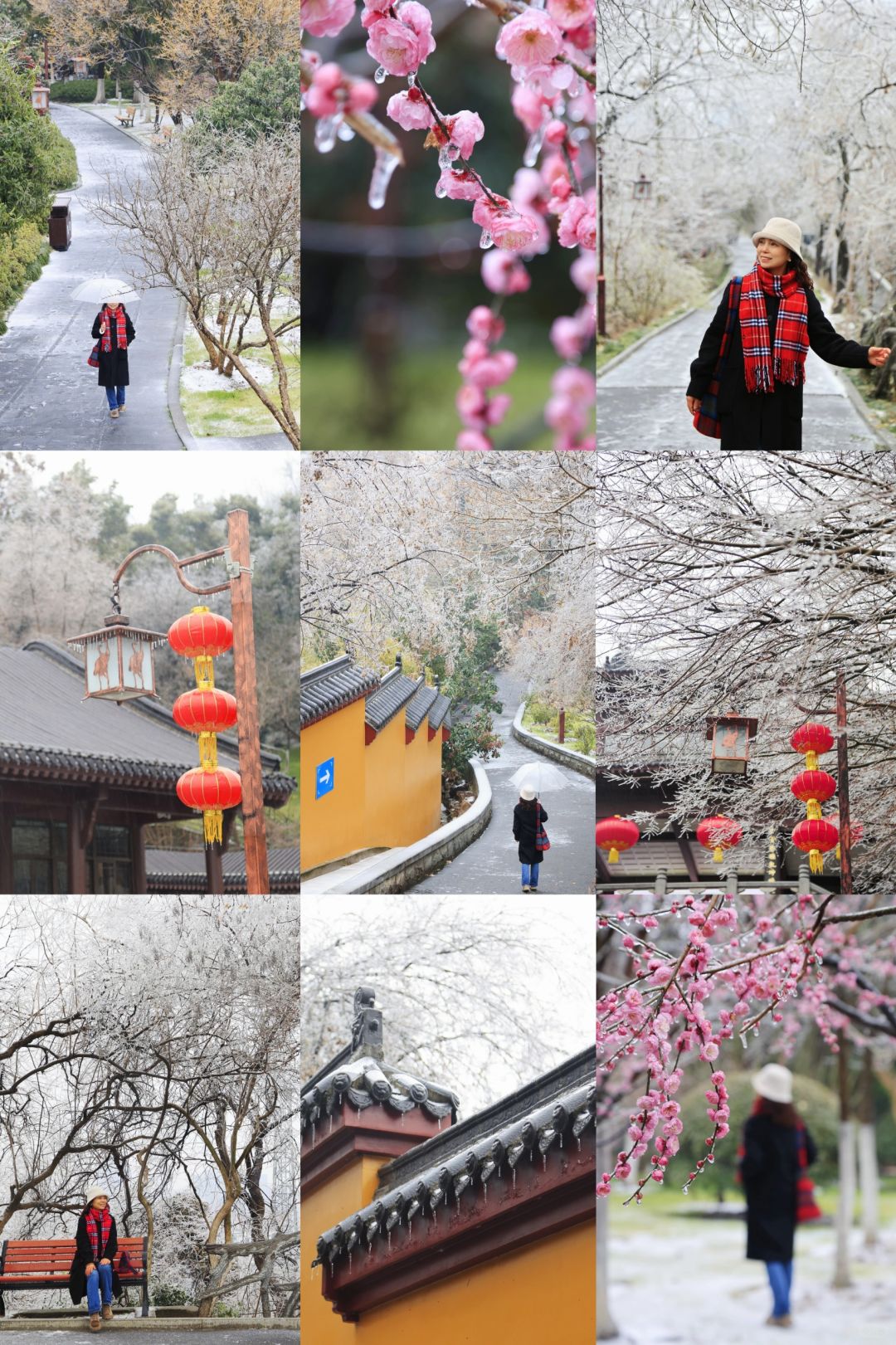 武汉冻雨，进入冰雪❄️童话世界|附攻略
宝子们，小年快乐。
这两天，武汉下起了冻