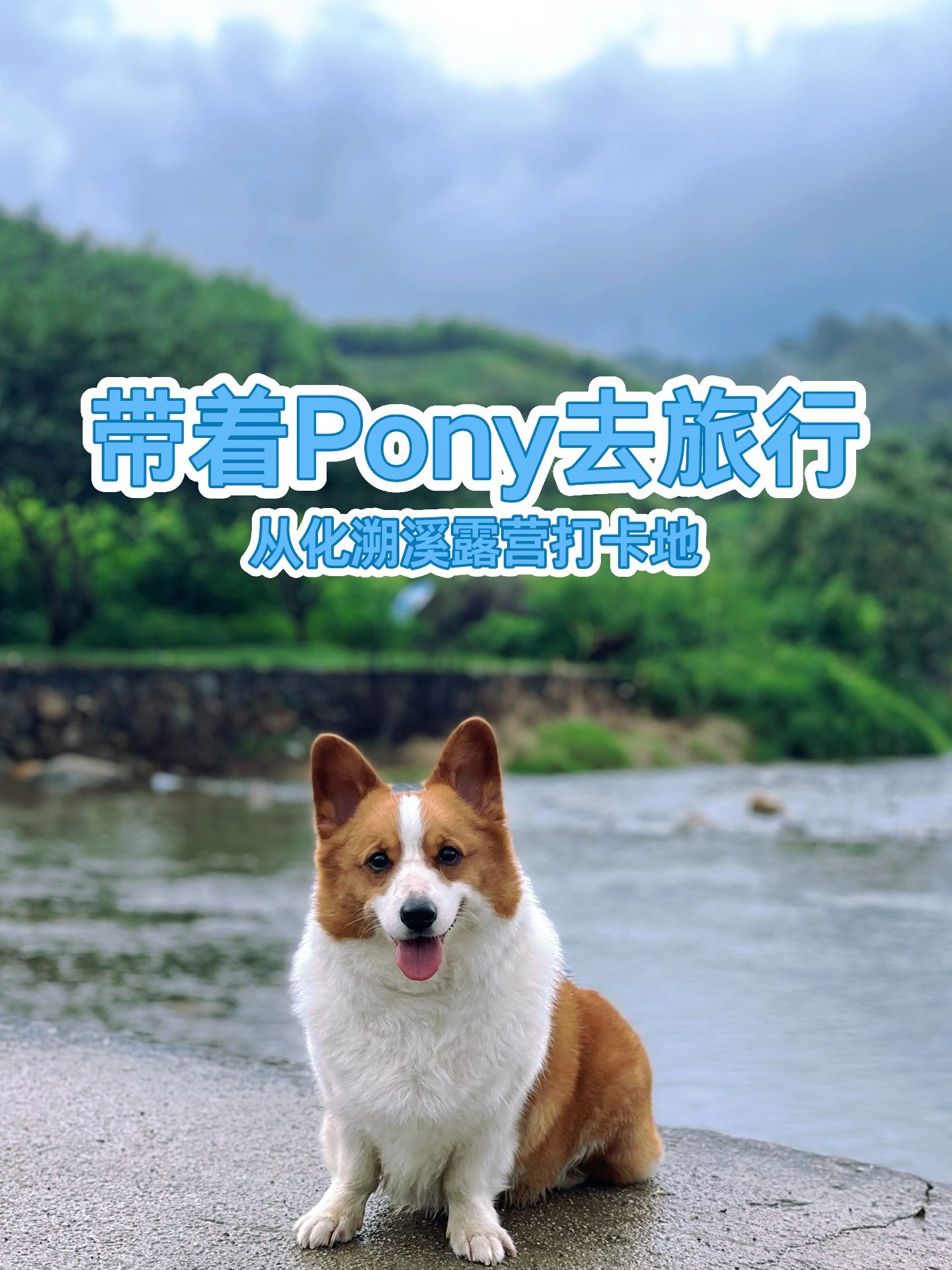 广州周边溯溪露营？一定要去从化这几个地方