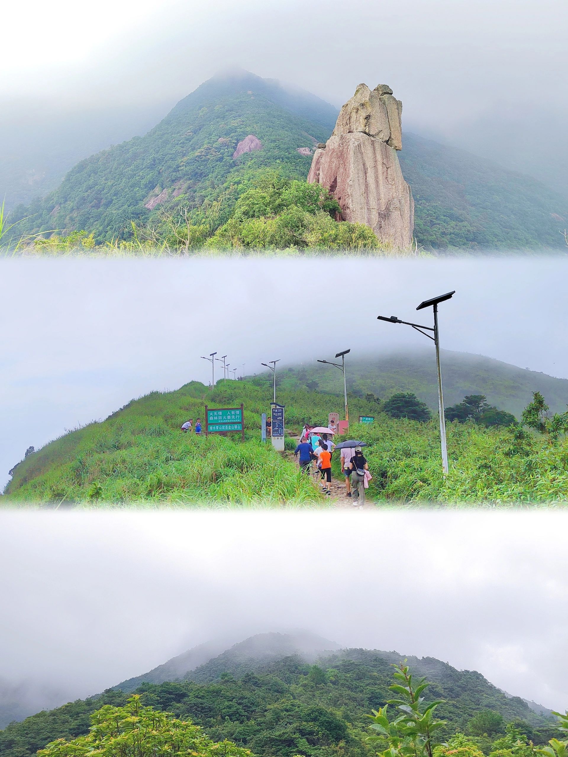 罗浮山通宵探路|拱草爬坡遇云海