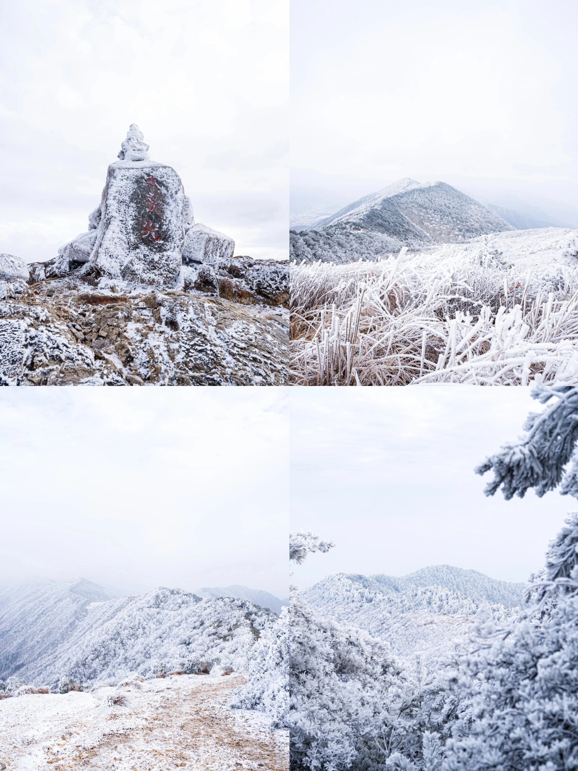 下雪啦|杭州徒步赏雪攻略，赶紧收藏浪起来