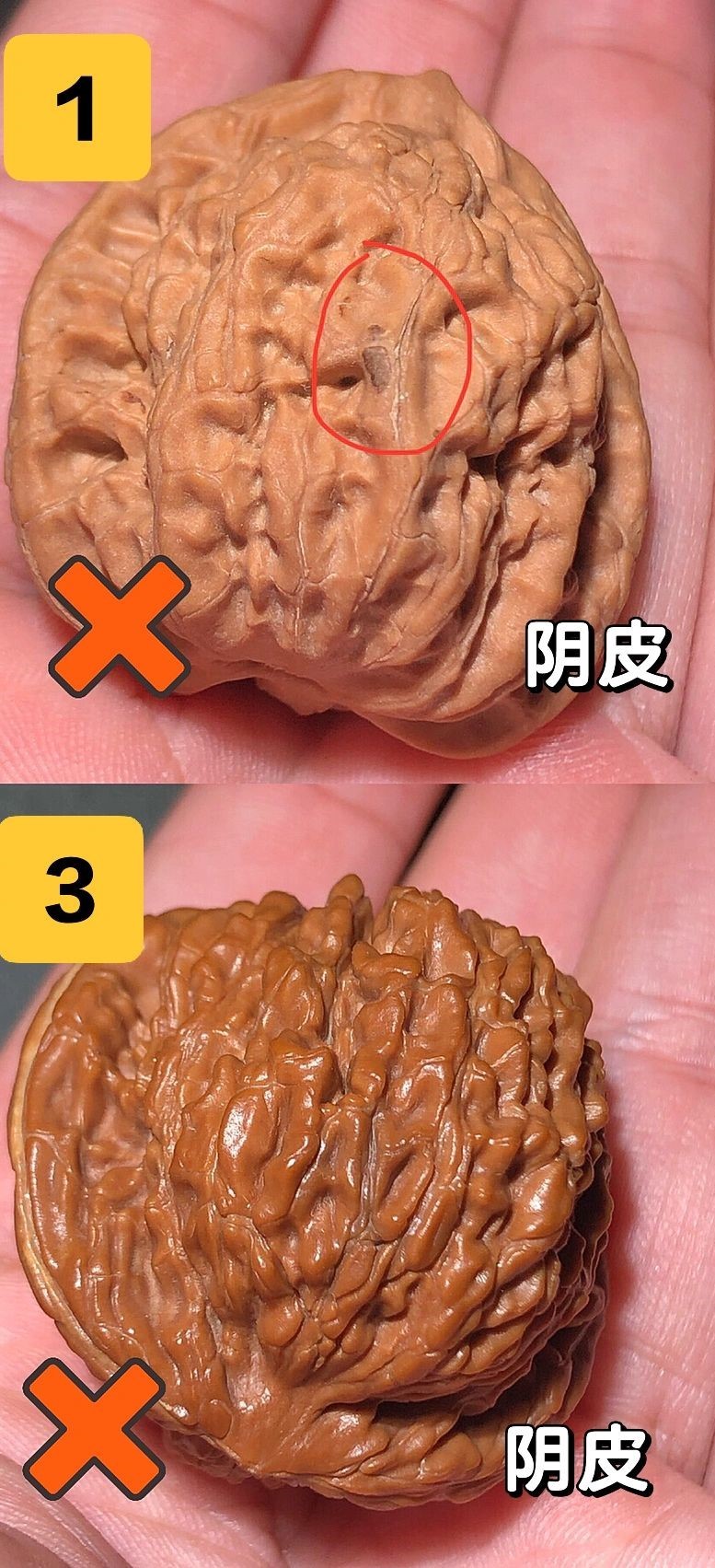 文玩核桃·如何鉴别“阴皮”“反油”