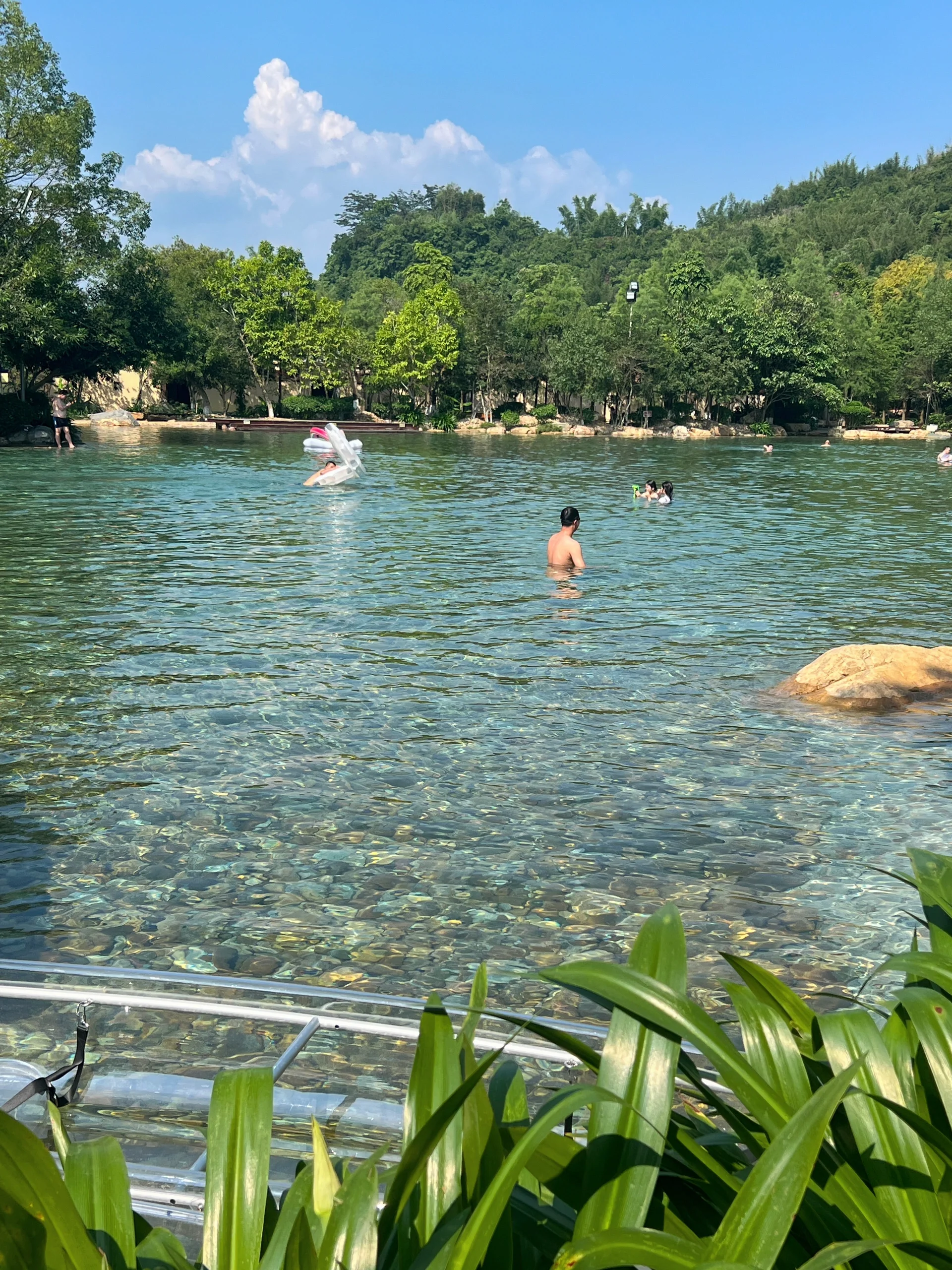 🌲森林冷泉｜亲近大自然的胜地｜玩水露营