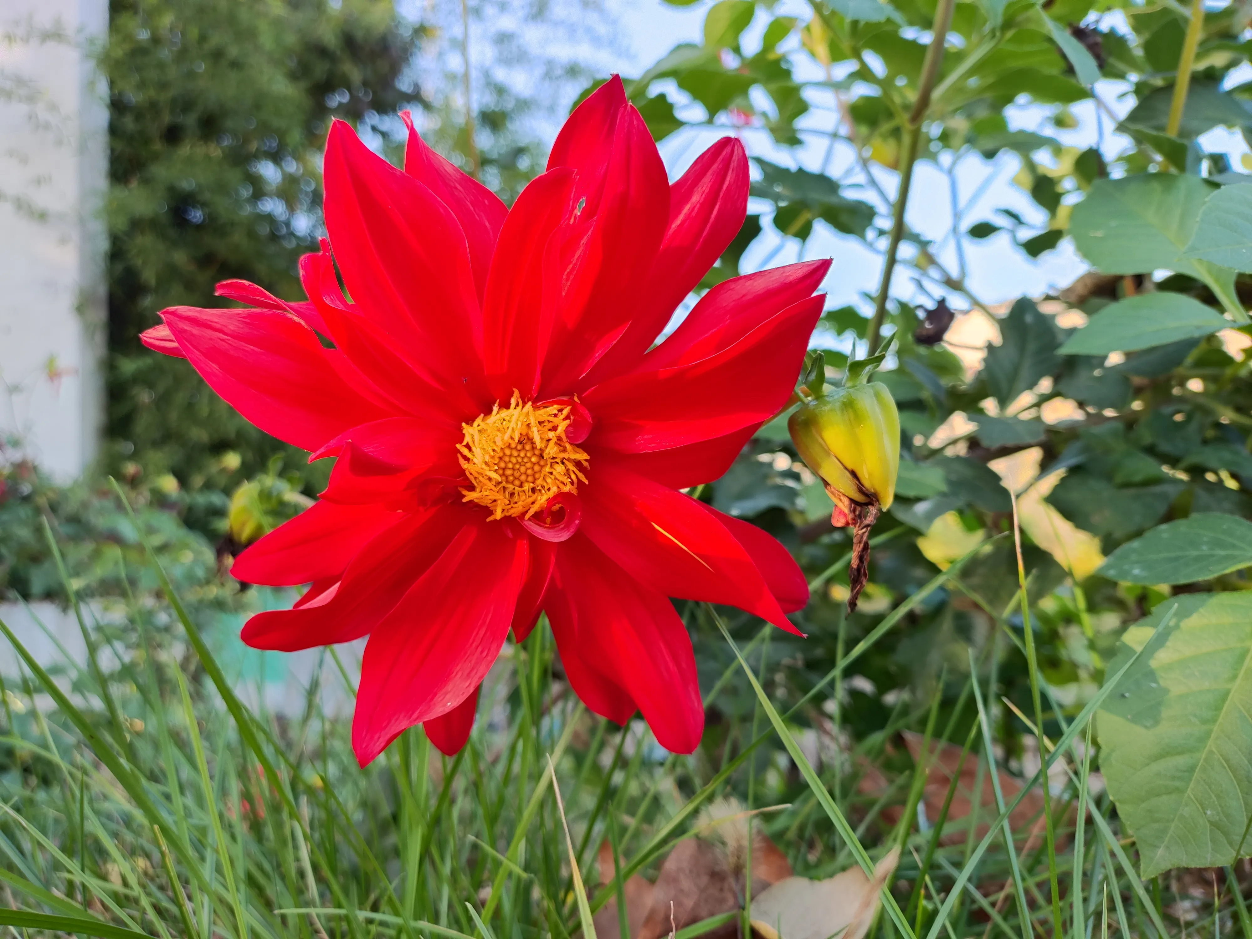 单位退休人员工资发放比例:
      1、工龄30年以下，按80%比例发放；
