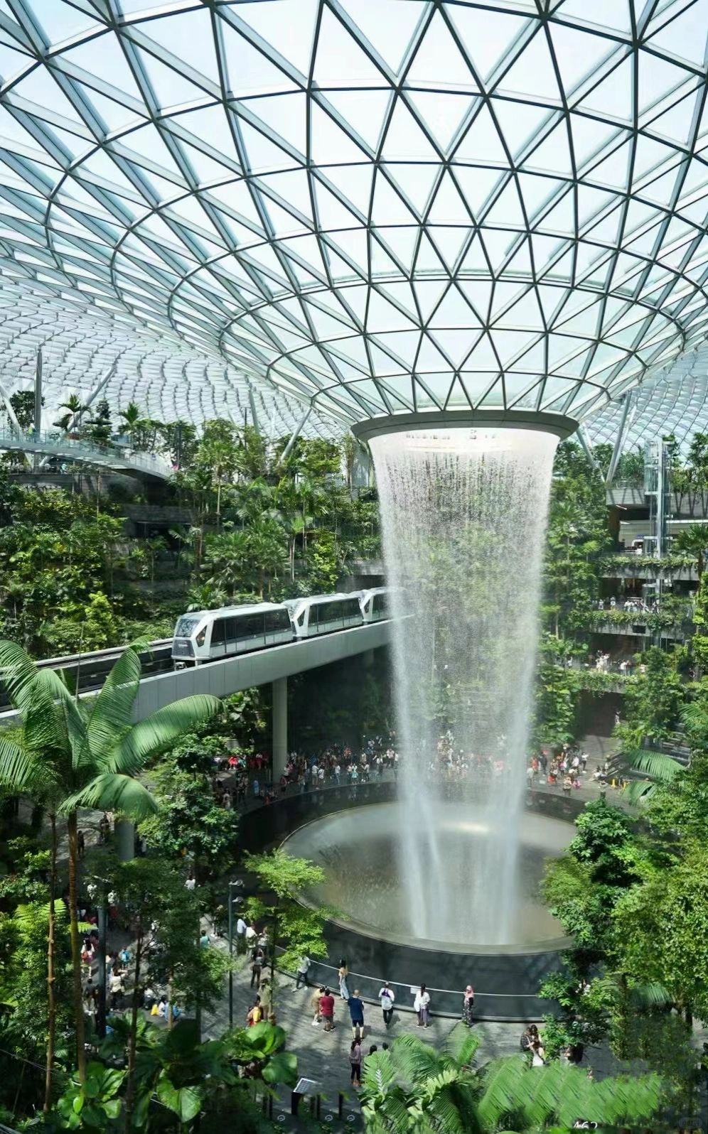 新加坡旅游注意事项
🦁️新加坡 那些奇奇怪怪
🫣可可爱爱的注意事项
1⃣️?