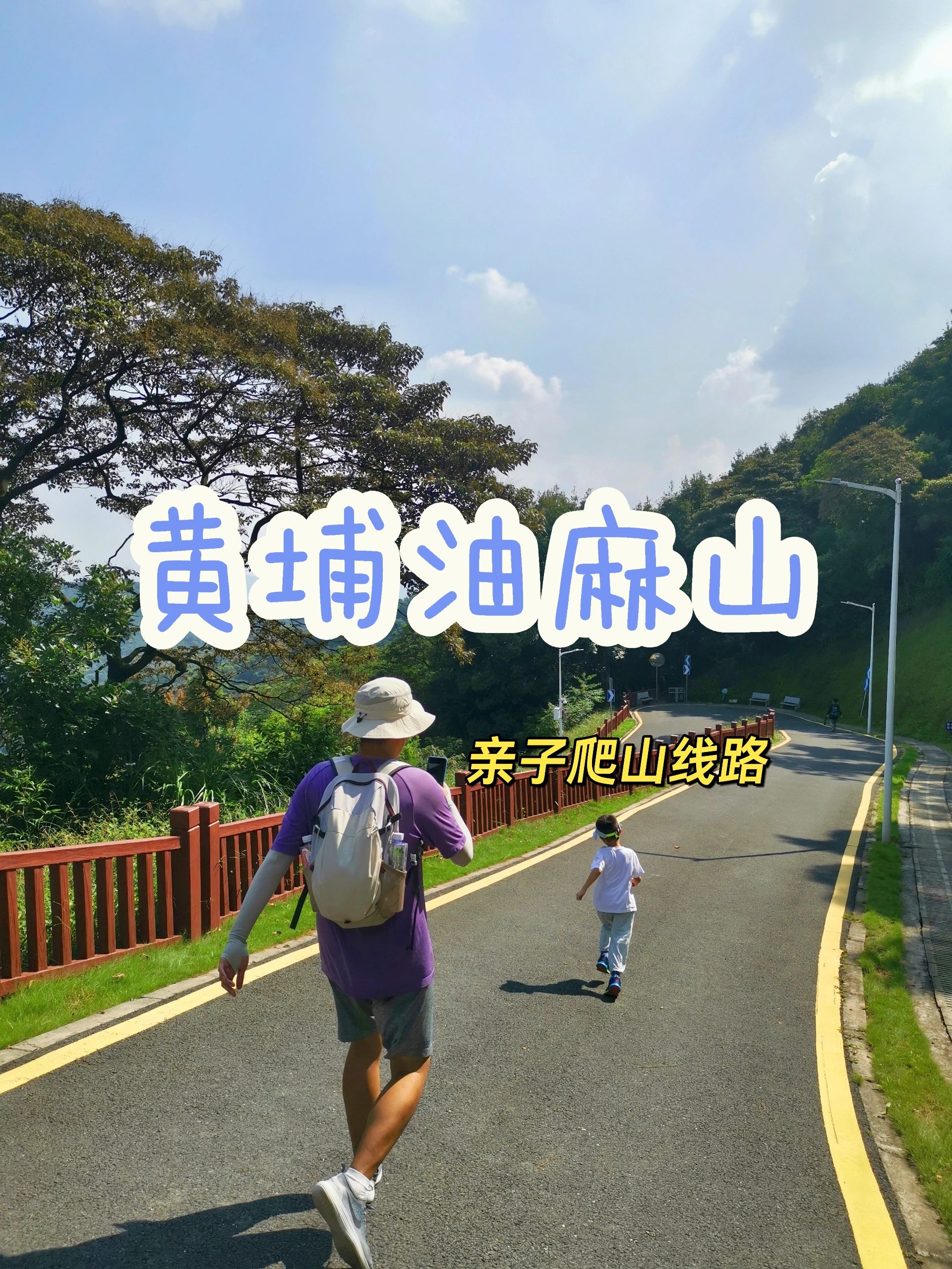 就在广州！值得N刷的免费森林🌲公园