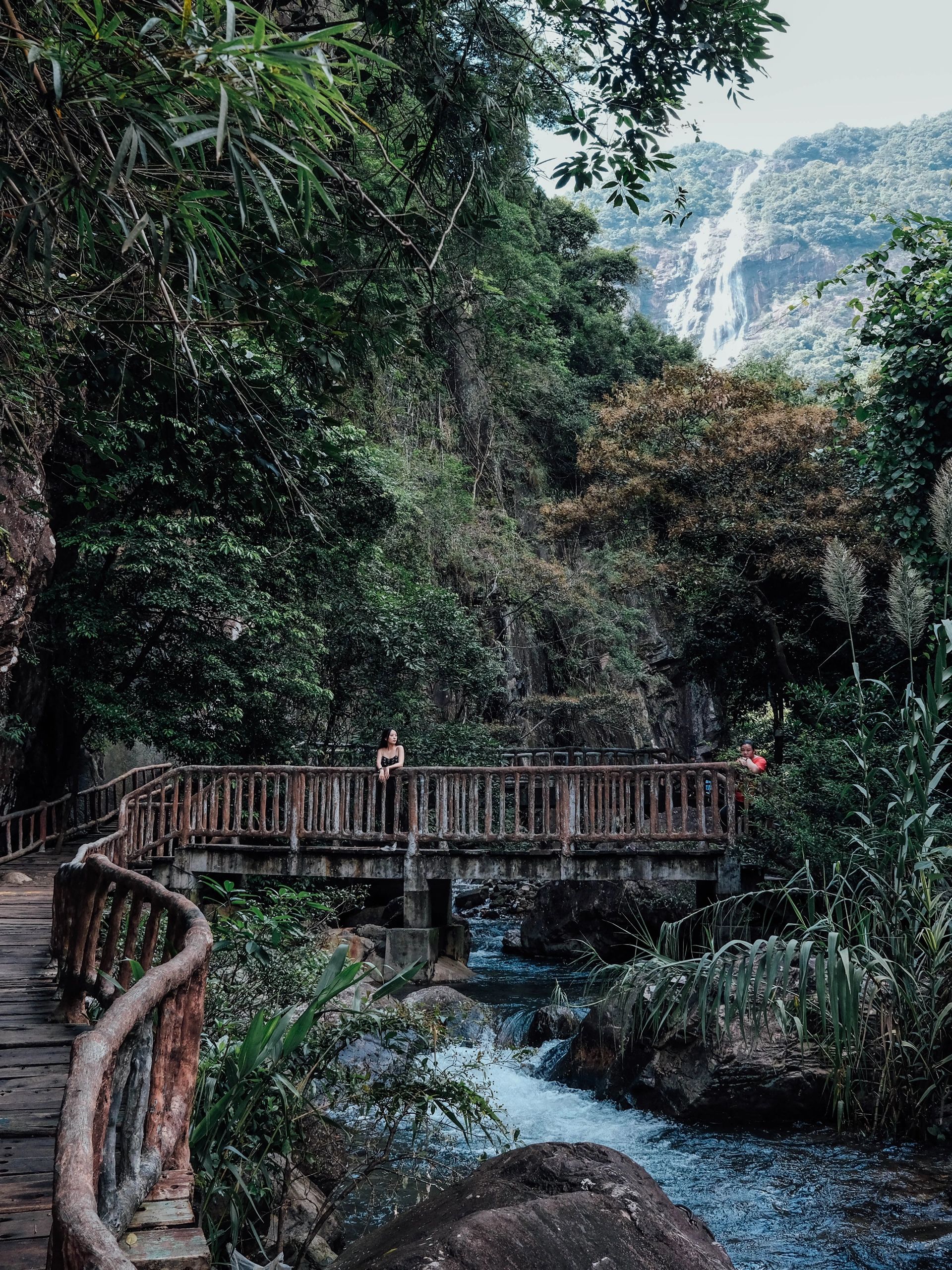 周末游 | 广州居然藏着这么美的森林瀑布