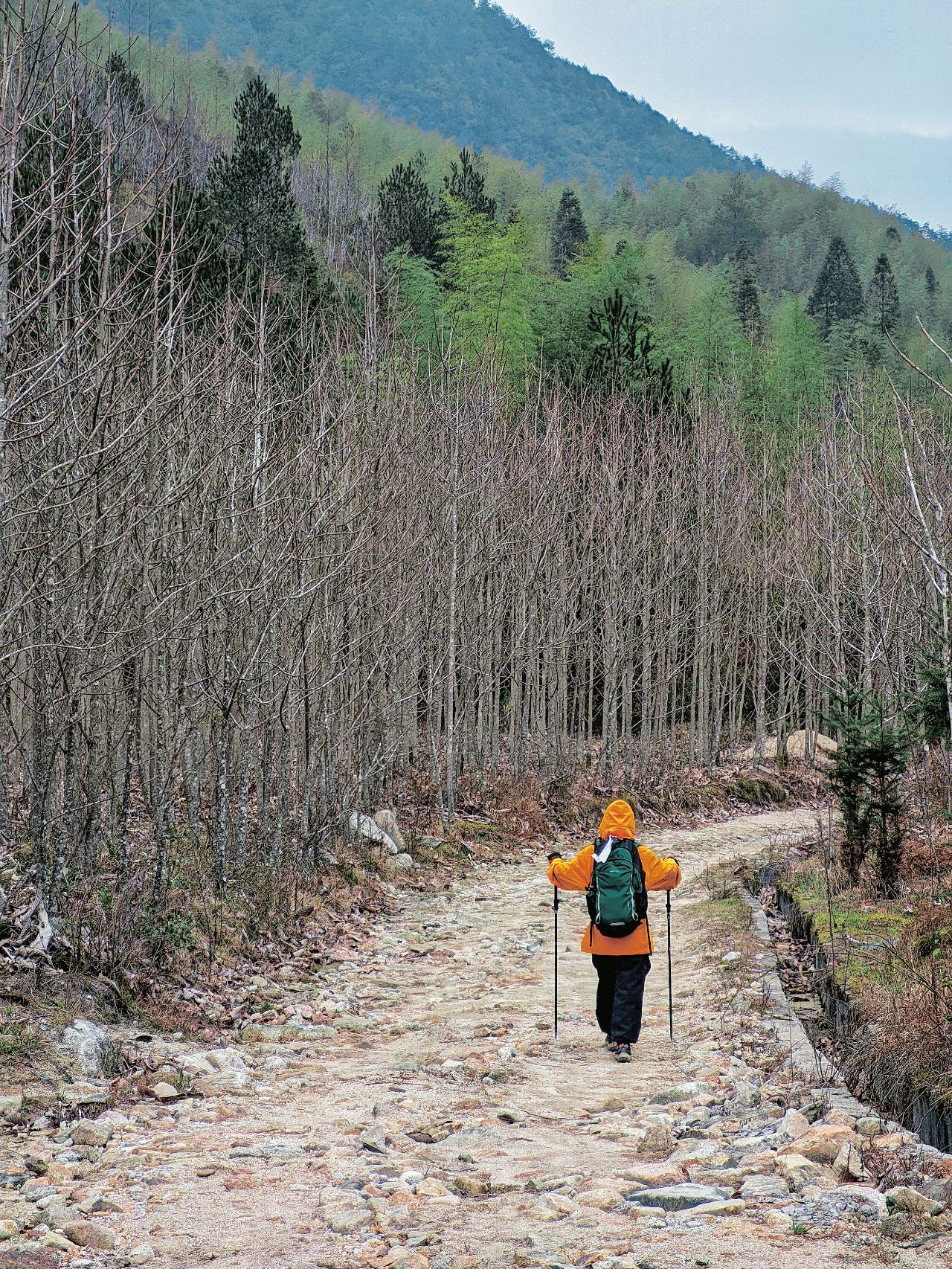广州一日游|适合徒步小白的入门级路线✅
