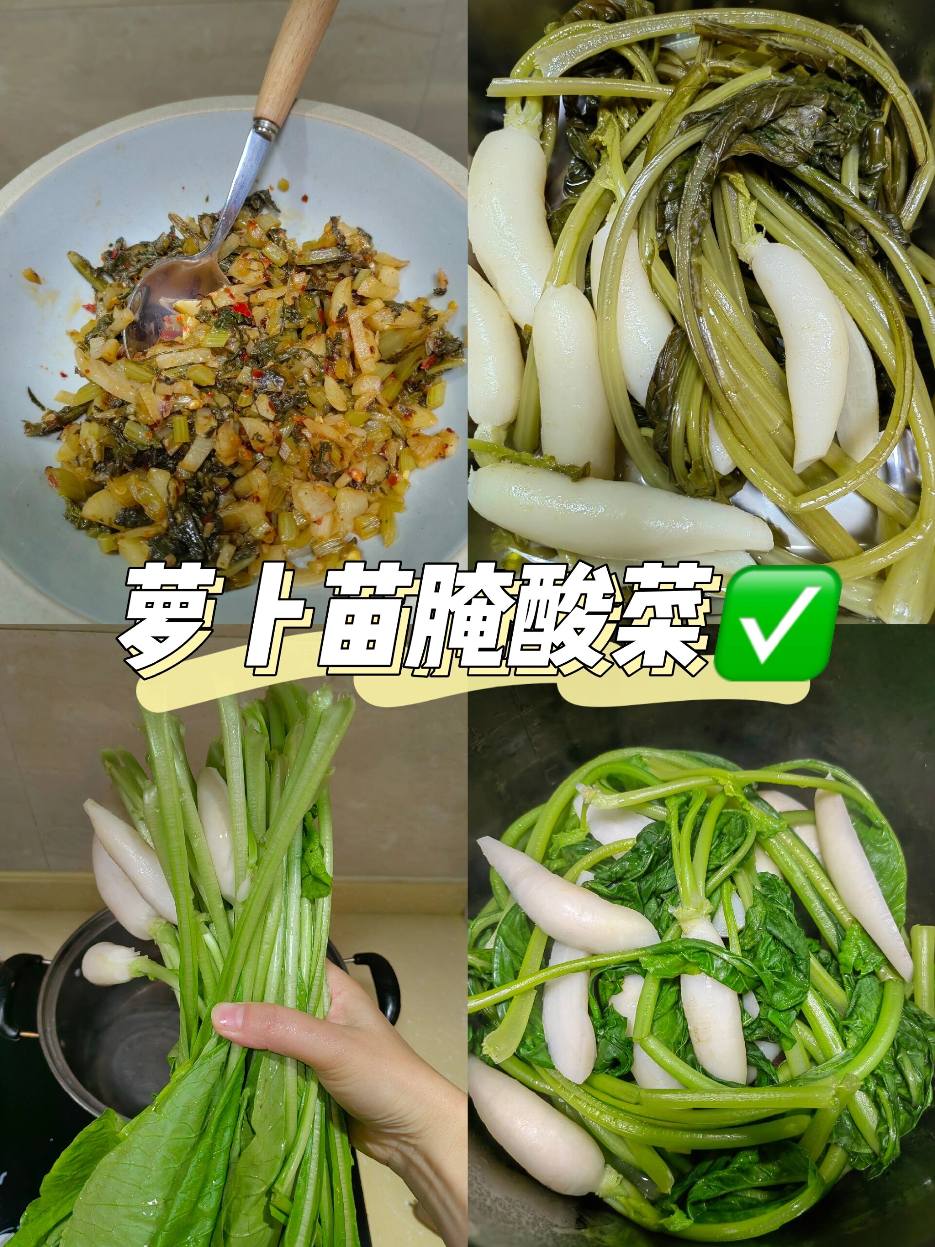 萝卜苗腌酸菜，酸辣开胃，超下饭

萝卜苗腌酸菜酸辣开胃，强烈安利，做法非常简单，