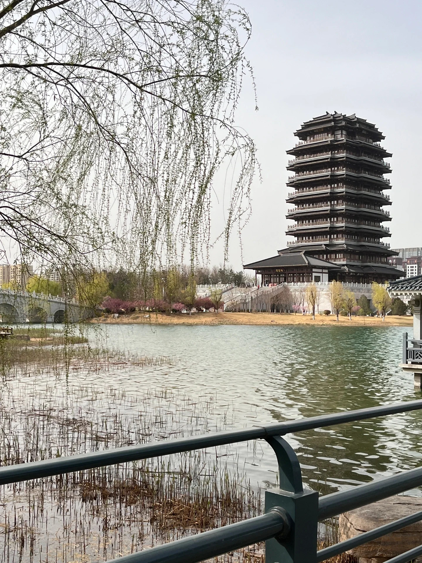 极限24小时淄博吃玩攻略来啦🍢