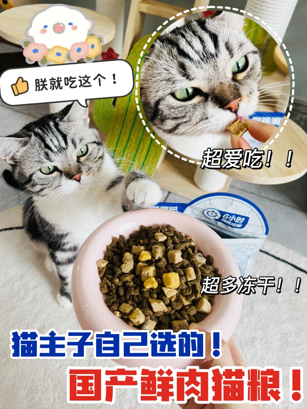 国产鲜肉猫粮#国产放心猫粮#