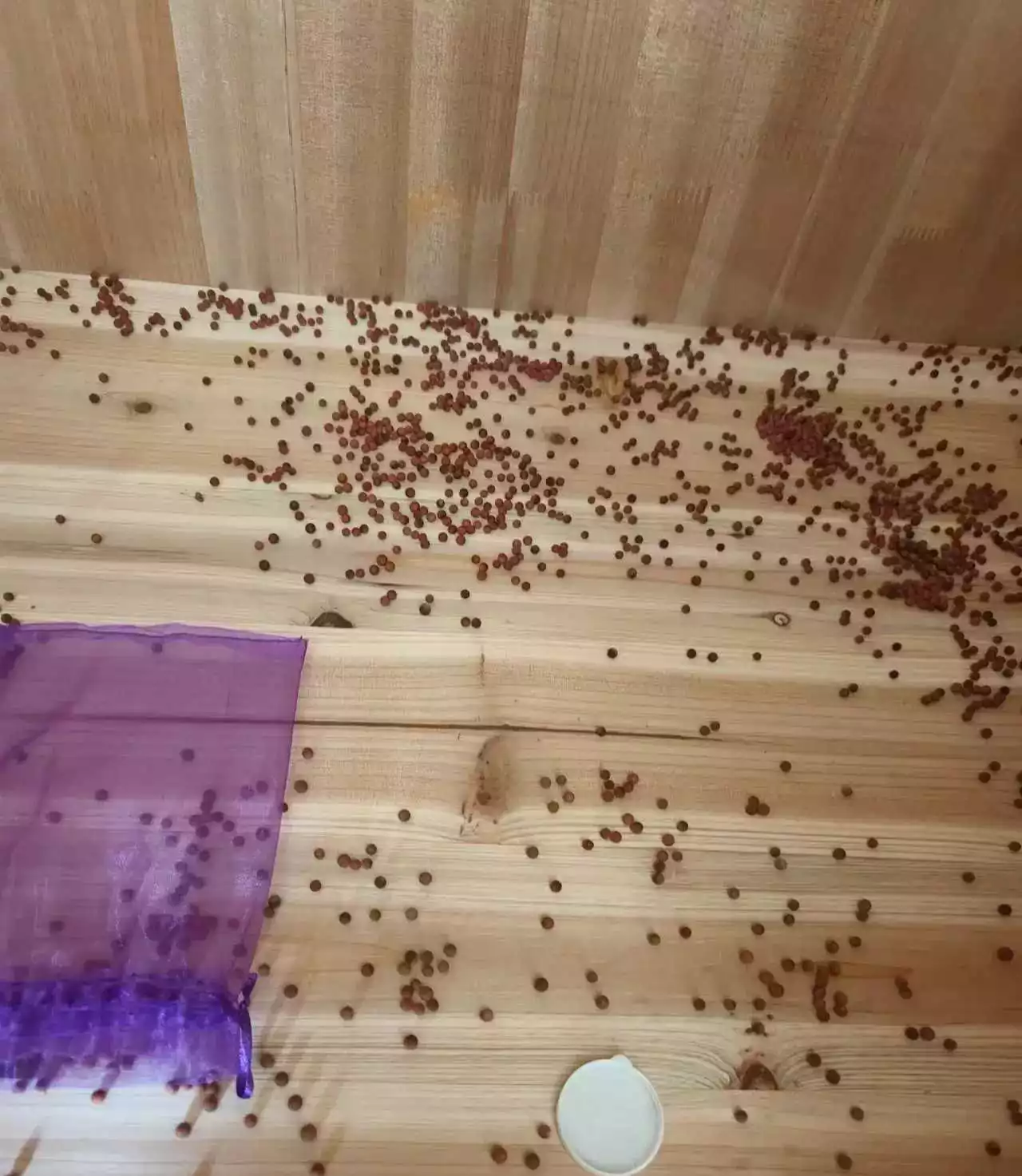空调打开制热12h， 竟变成了这样？