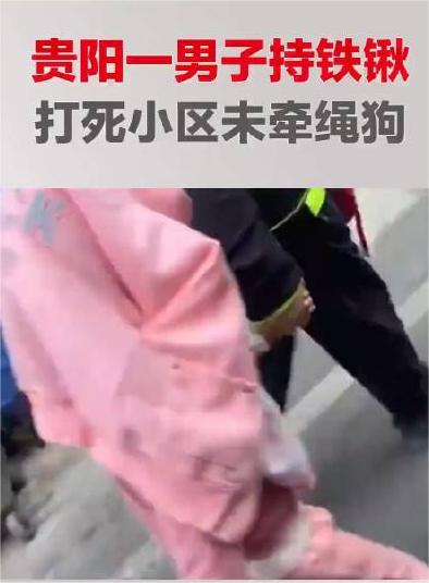 当街骚扰未成年女性，请问女权在哪里你们不为这名未成年女性发声吗？为狗权发声的女明