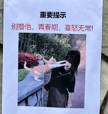 猫：欺负我不识字 ​