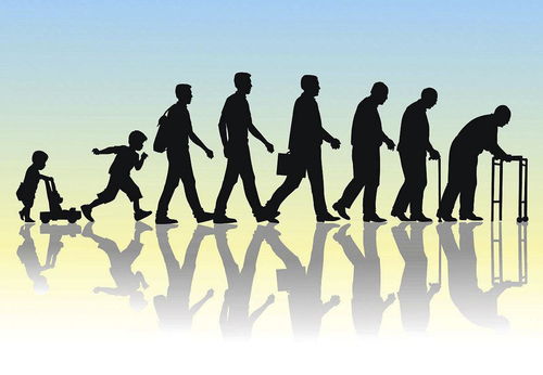 据《中国老龄产业发展报告》预测，到2050年，中国老龄人口的消费潜力将增长到10