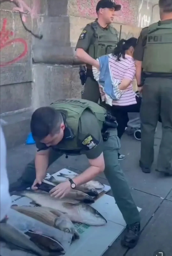 纽约法拉盛，华人鱼贩当街摆摊，结果被美国警察当场戴上手铐，鱼也全部被没收。国内城