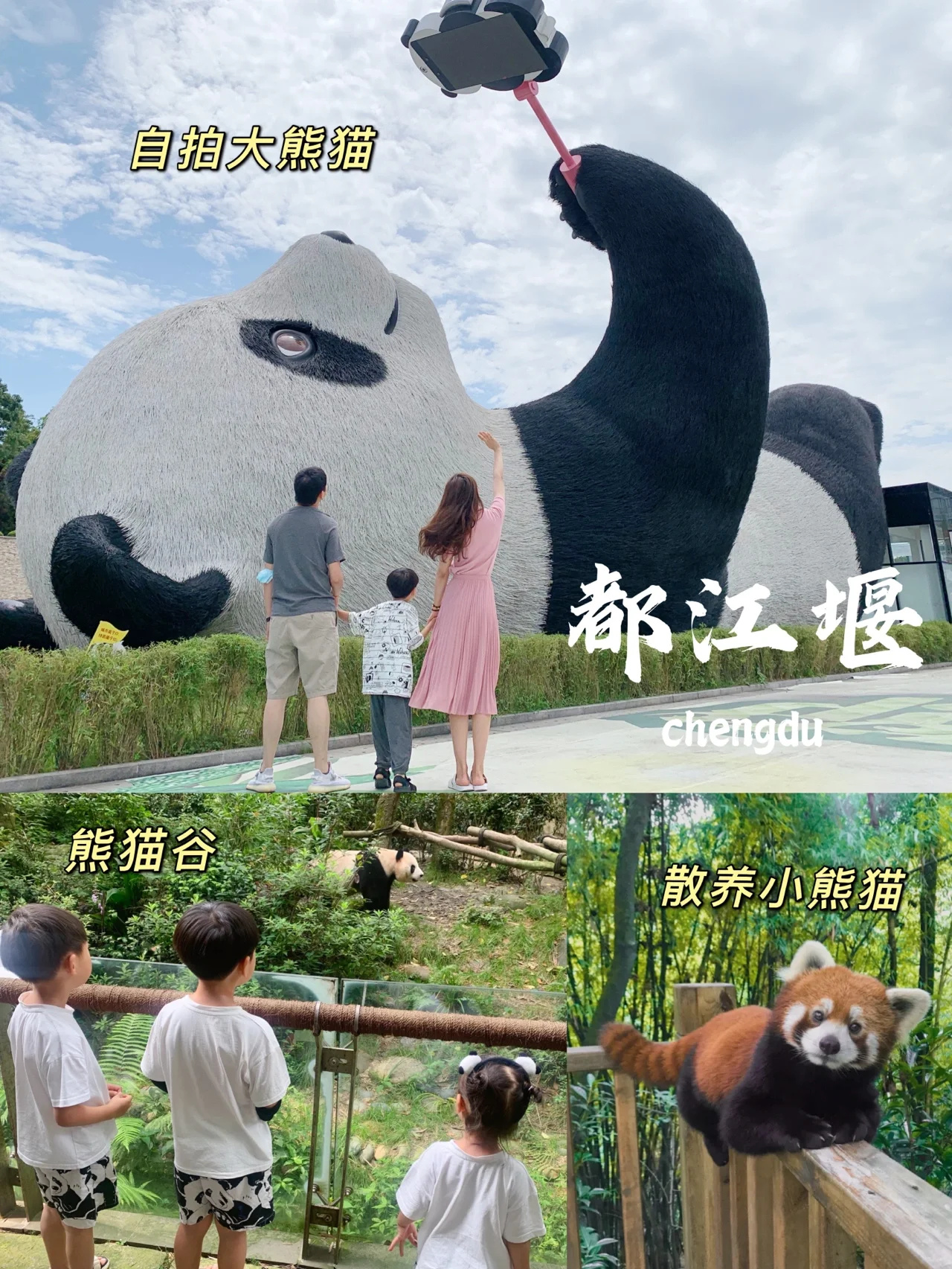 成都带娃去哪｜都江堰·自拍大熊猫+熊猫谷