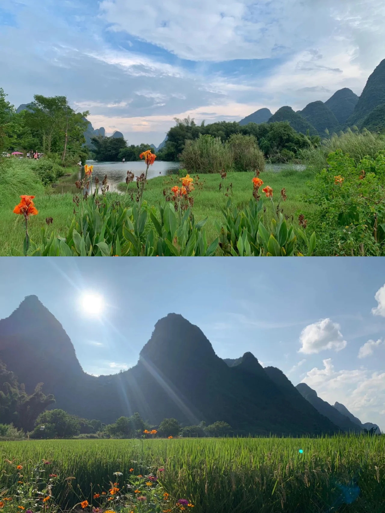 还去十里画廊骑行？❌快来遇龙河步道吧！