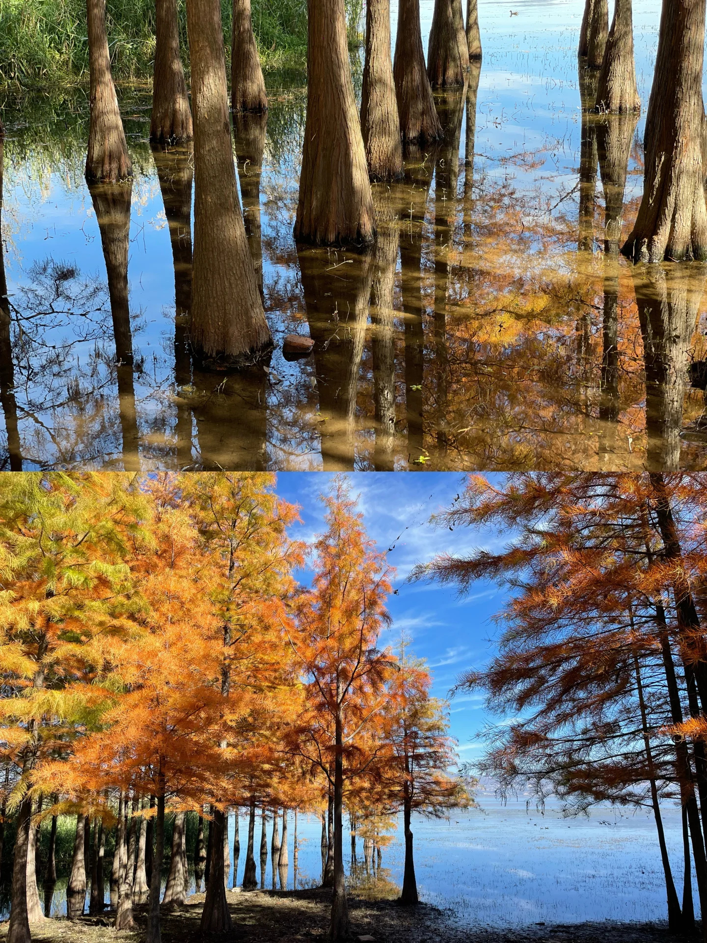 大理旅行｜5个绝美的赏秋之地🍂