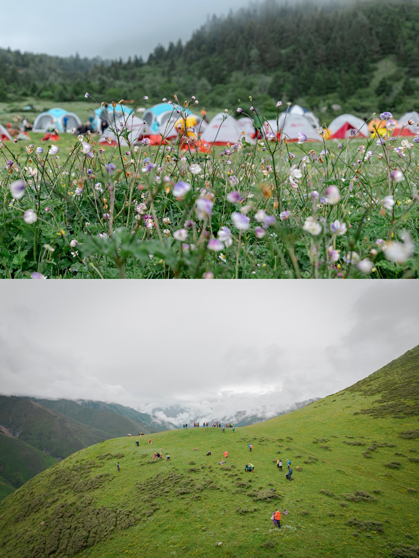 超全攻略贡嘎环线