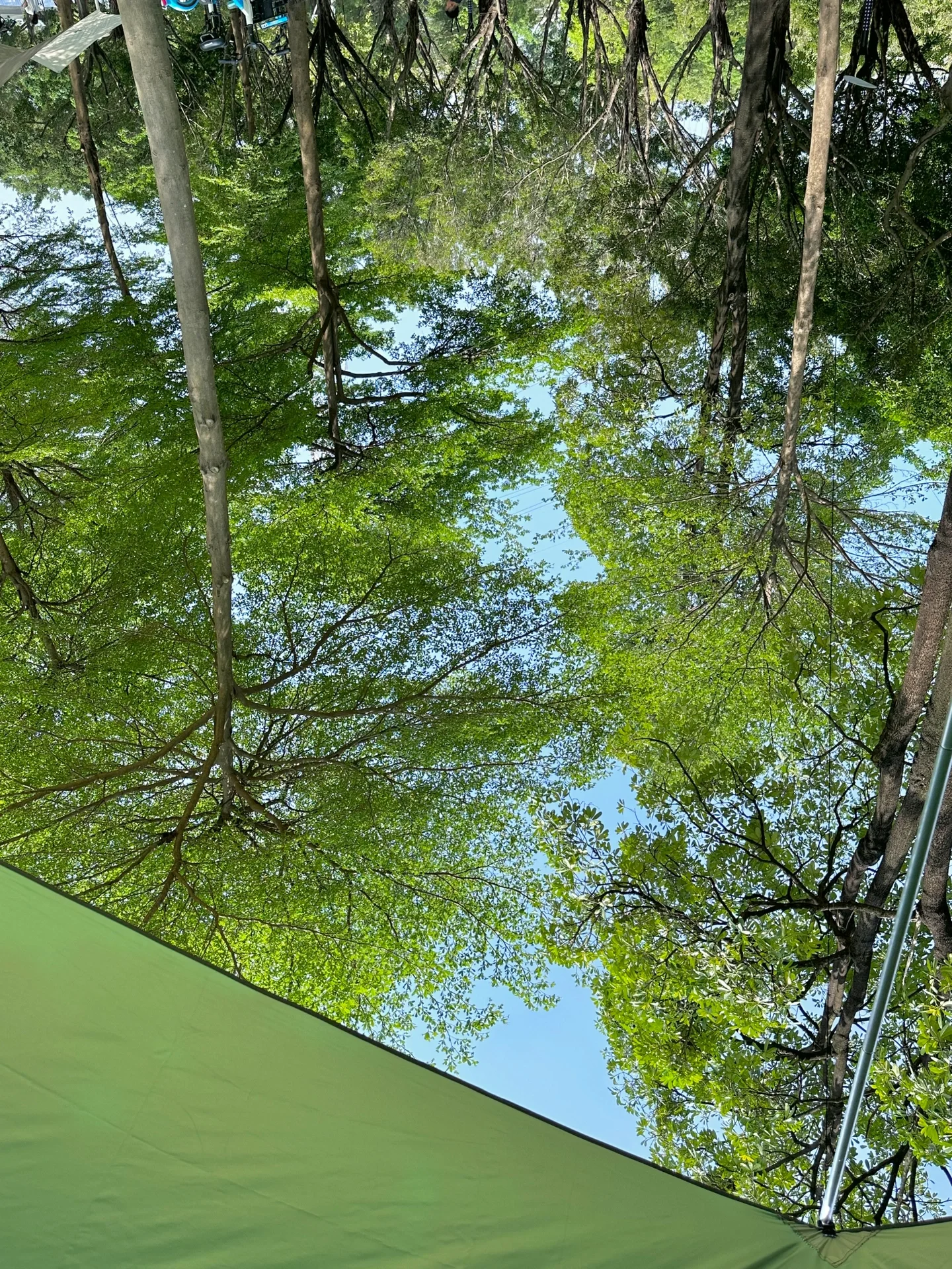 广州四个超美宠物友好露营地🏕️