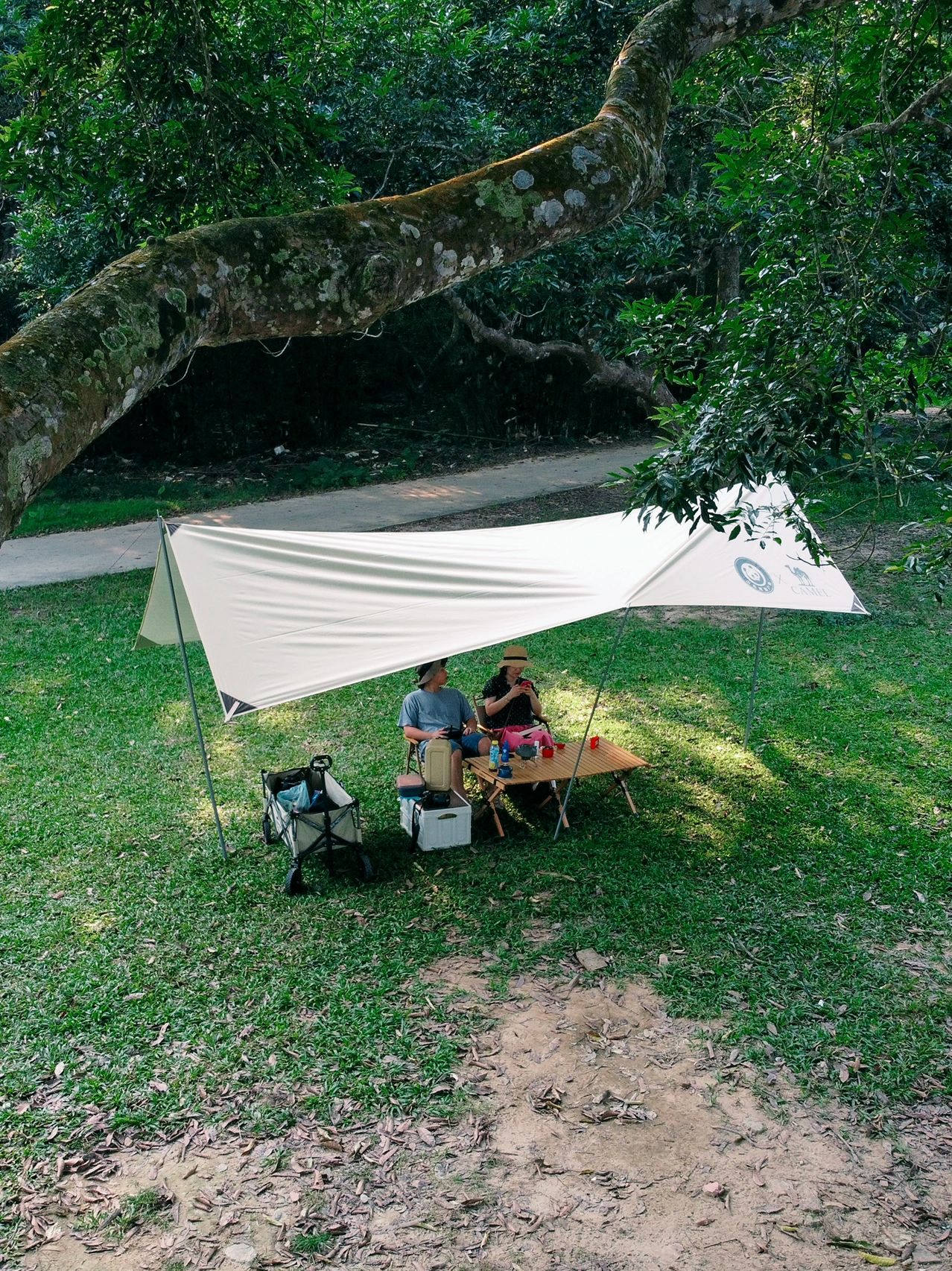 广州榄园竹林野营地｜满足全天户外放空需求