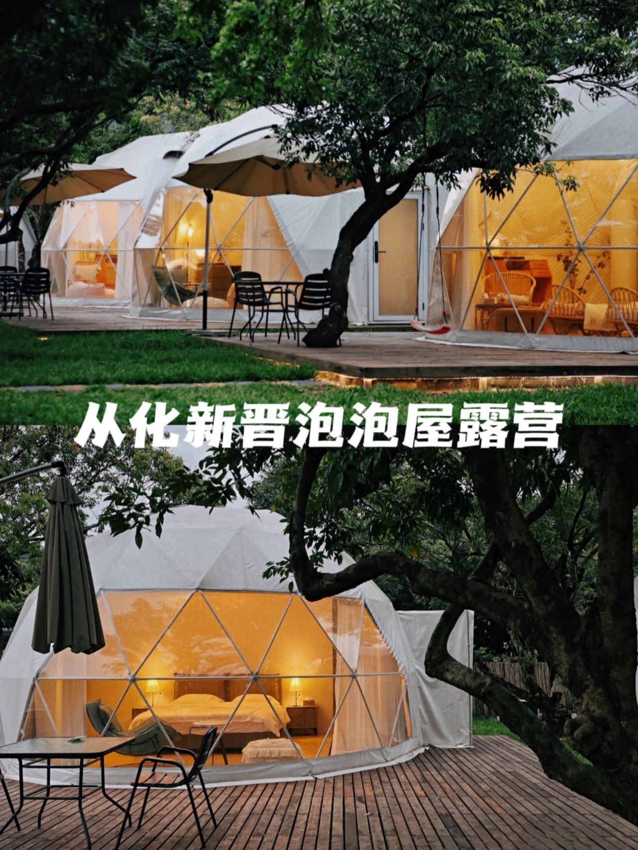 超小众‼️从化新晋轻奢田园泡泡屋露营⛺️