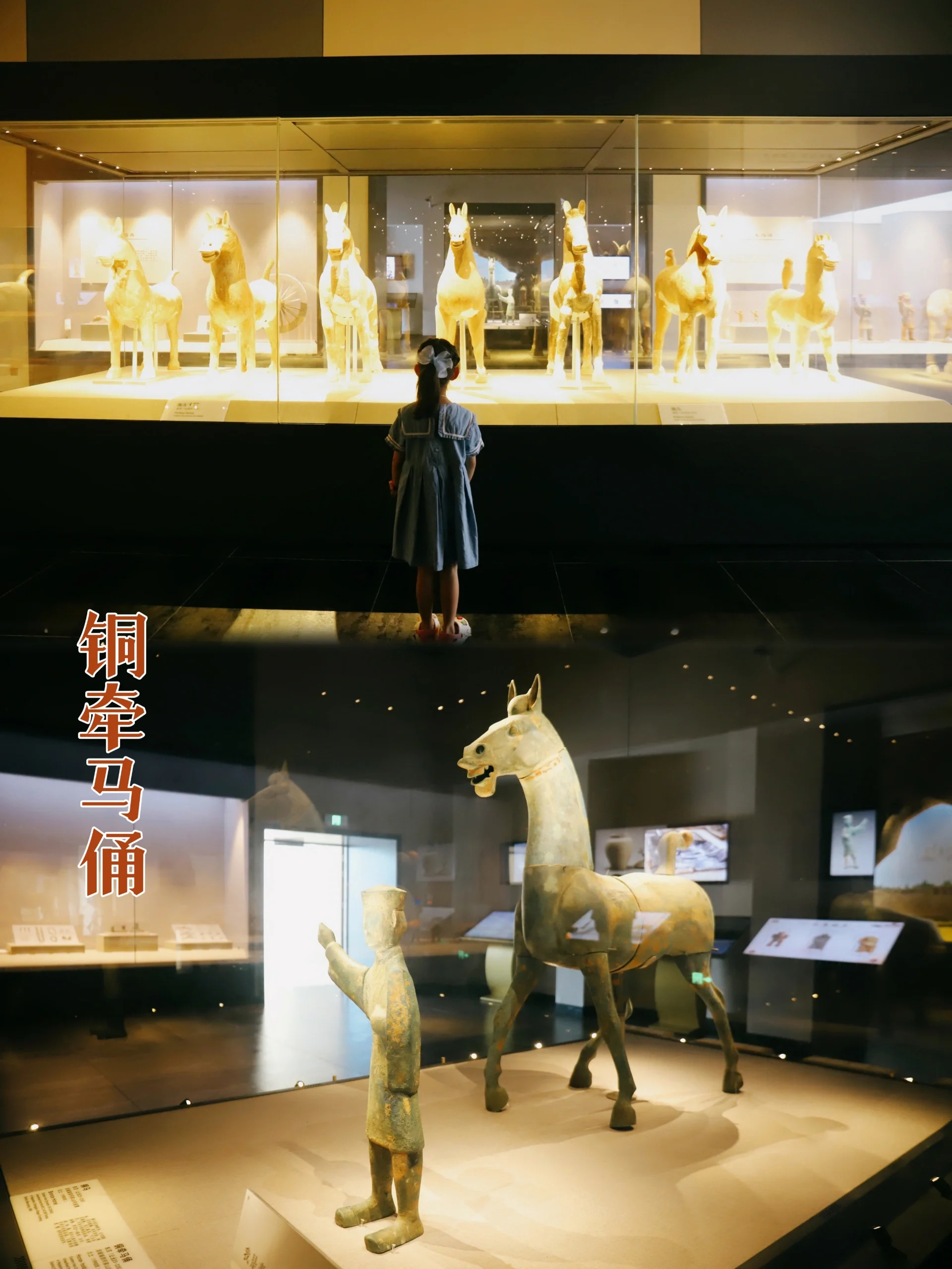 绵阳亲子|第一次进绵阳市博物馆泪流满面