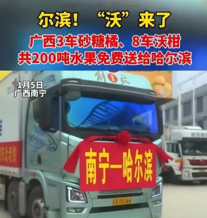 "冰雪之城的暖意糖果雨！广西文旅免费派送砂糖橘，哈尔滨老铁喜迎温情甜蜜！"哈尔滨
