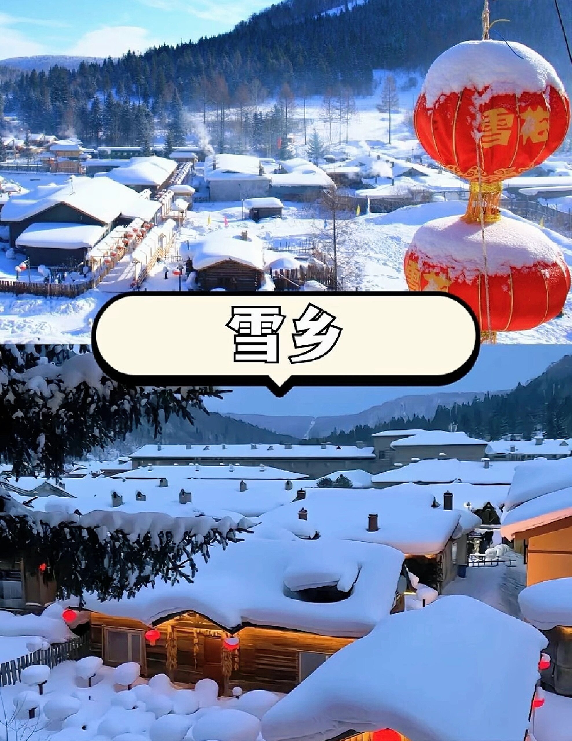 来哈尔滨雪乡过冬啦，体验冰雪童话世界！