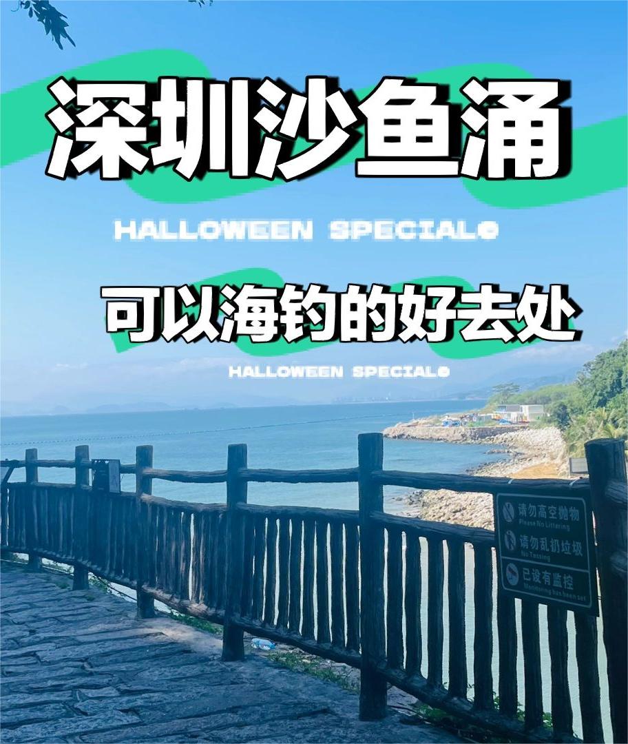 钓鱼人拍照爱好者的天堂-沙鱼涌