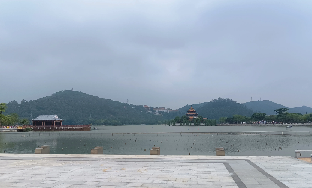 中年失业，
几个月没有上班了，
已经麻木了，天天找工作。
保安，外卖，代驾……
