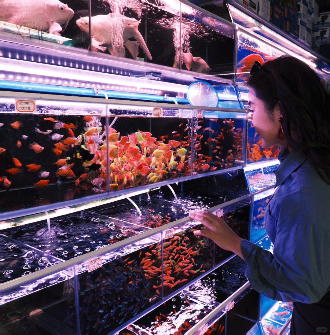 金鱼的七秒记忆🐠🫧🫙💧
-
嘻嘻今天又认识到了个超nice 的姐姐🥳
