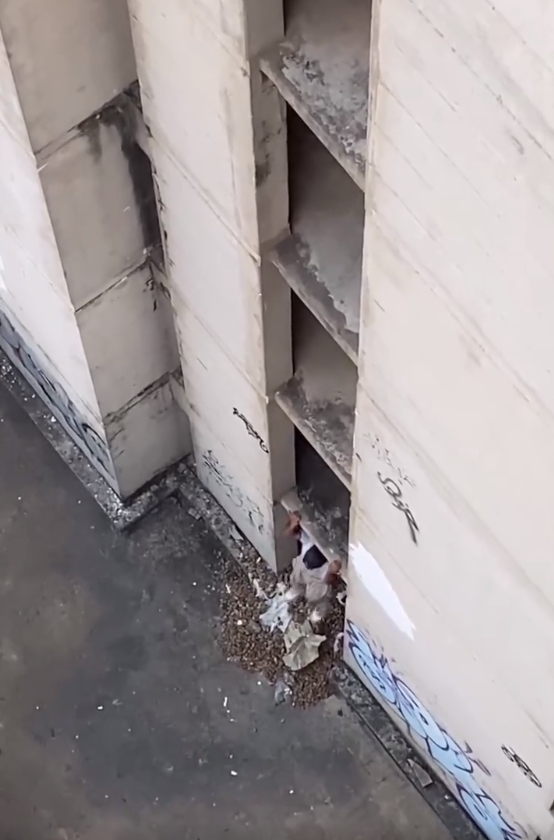 是时候展示我真正下班离开办公室的心情了……
