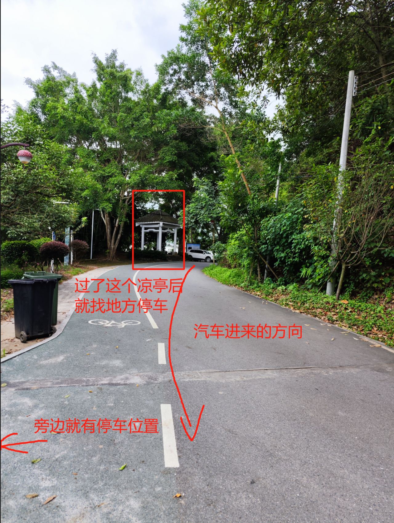 2023年场露营|增城蒙花布村避坑指南