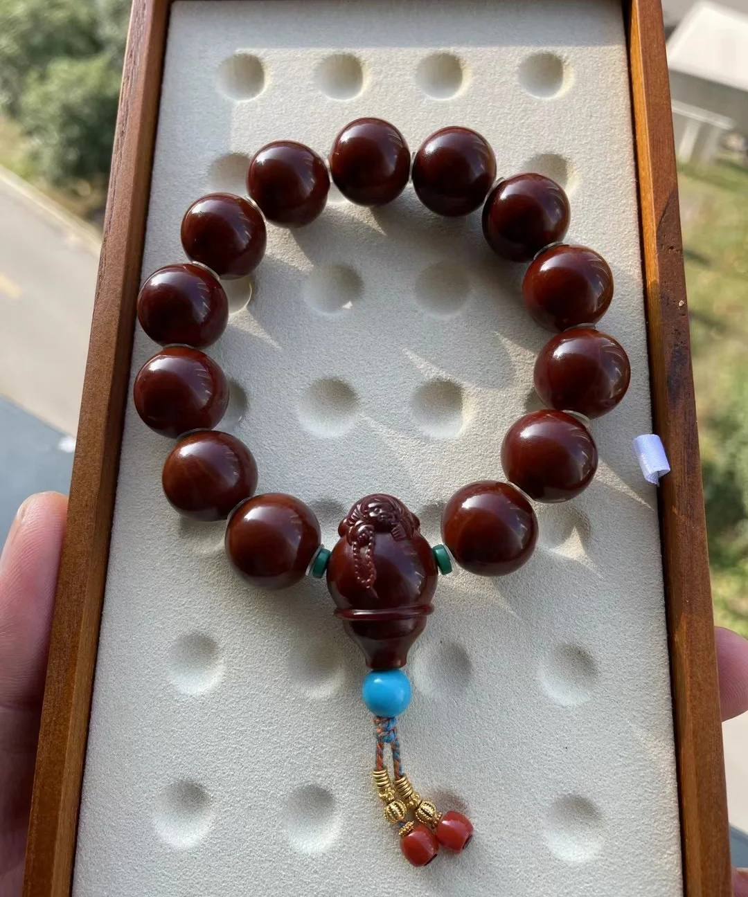 橄榄核的知识你还知道哪些呢？？