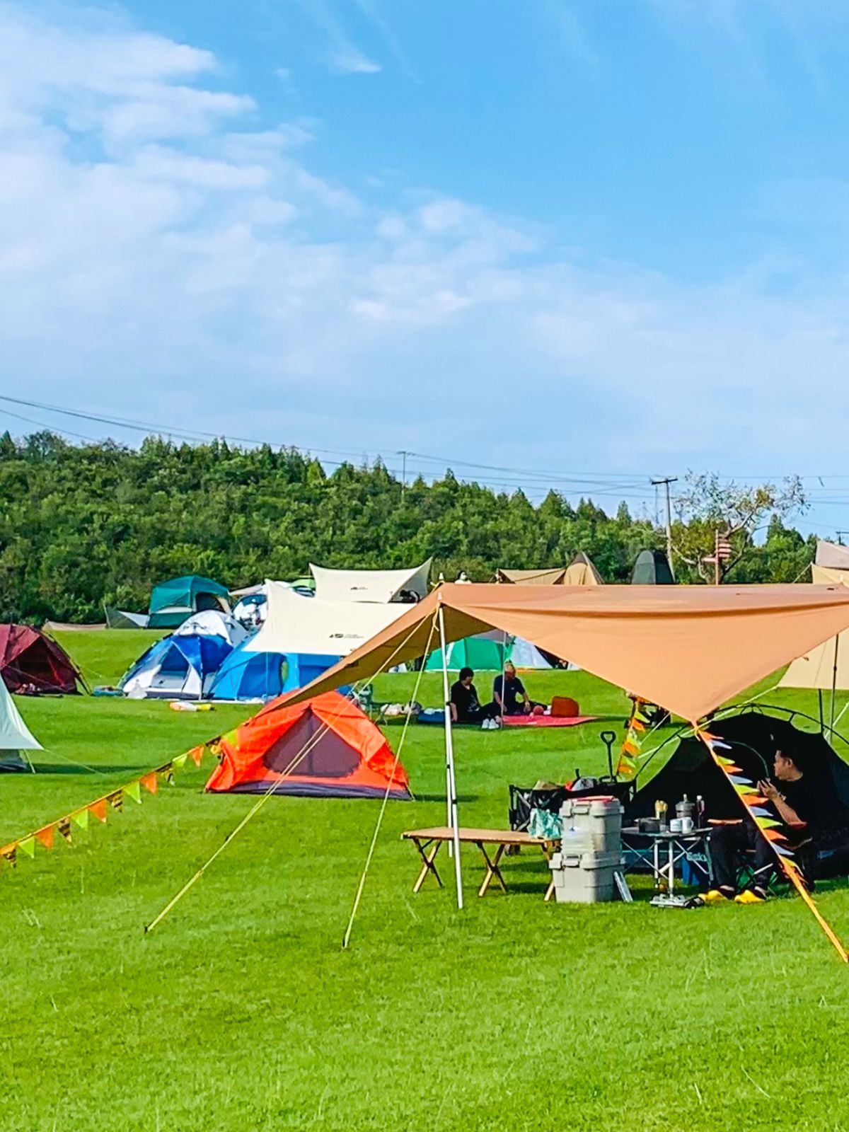 广州绝美公园|能烧烤拍照的免费露营地❗️