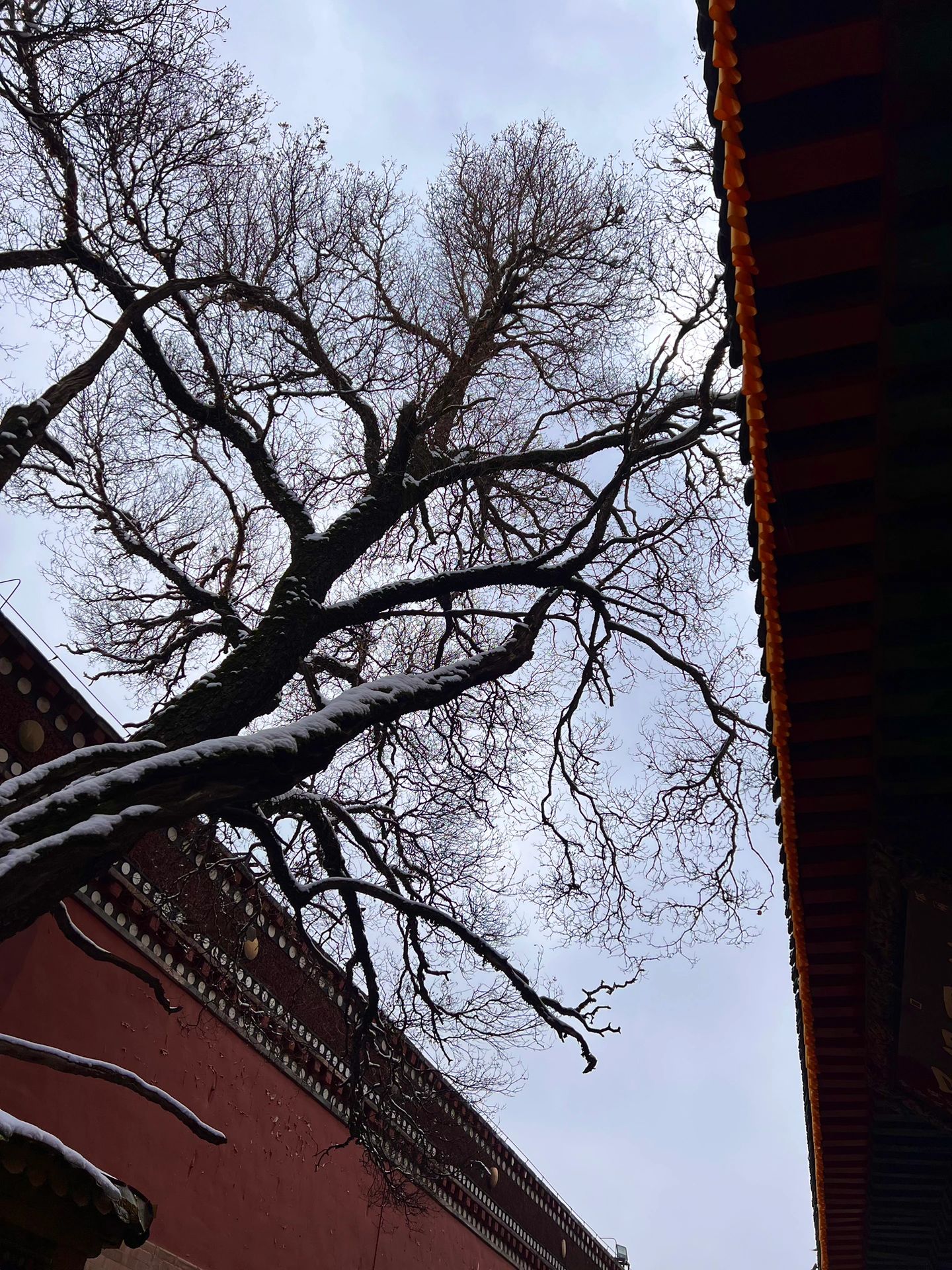 去塔尔寺一定要租衣服当卓玛
