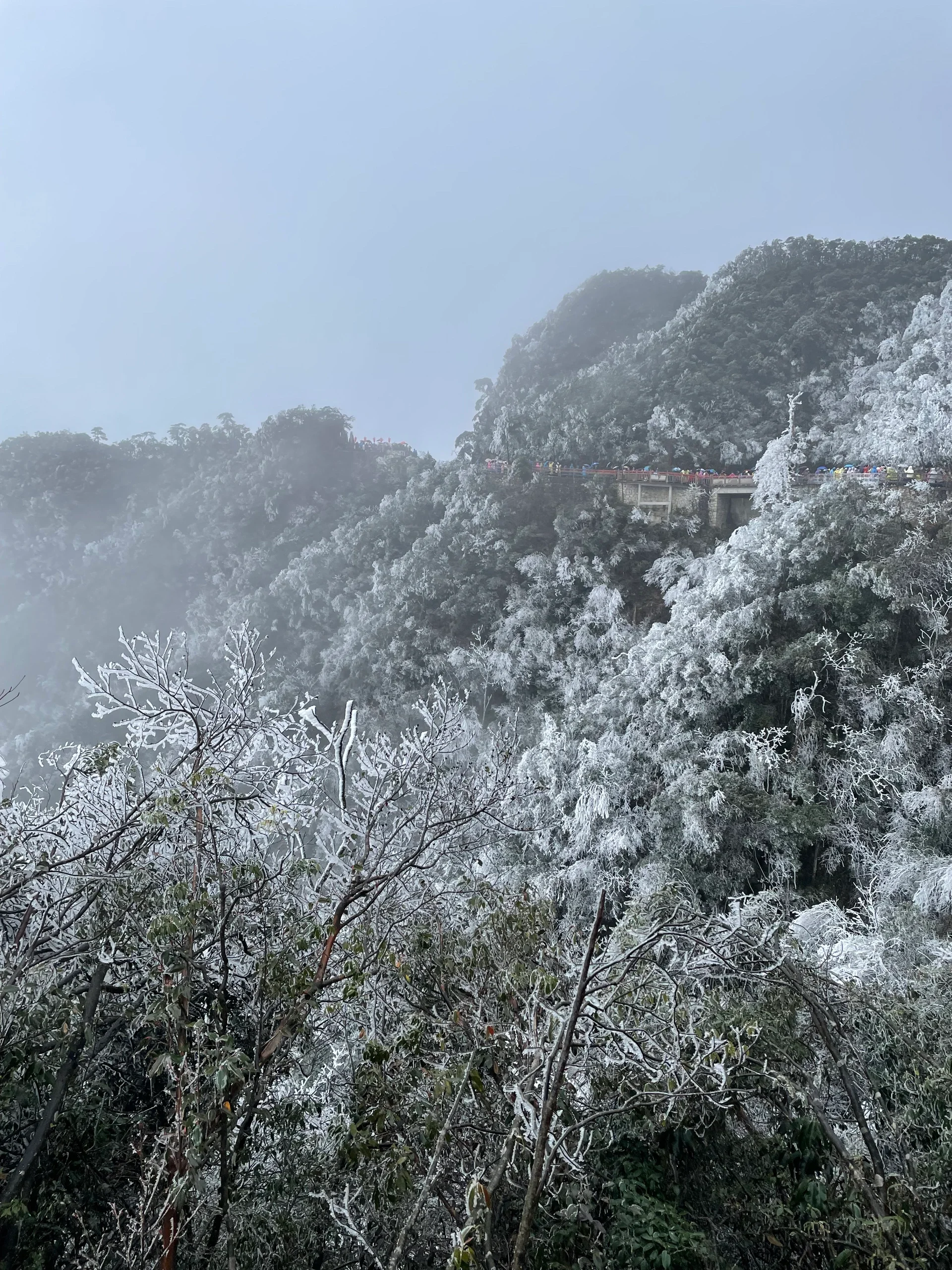 广州周边看雪指南｜春节特辑