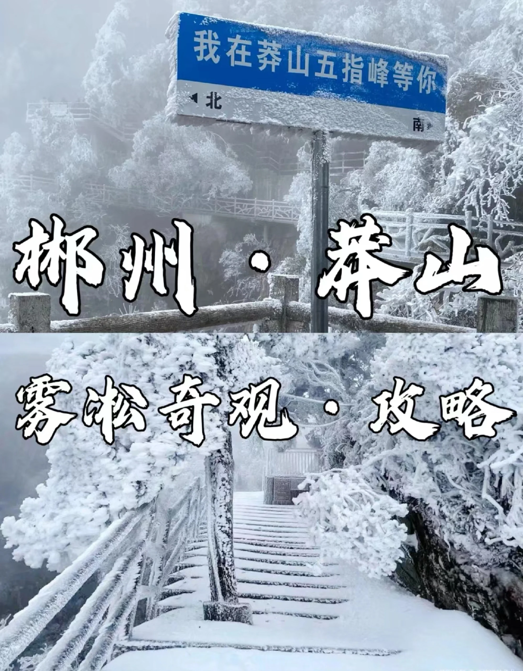郴州莽山1.5小时广深直达探秘雪域秘境
