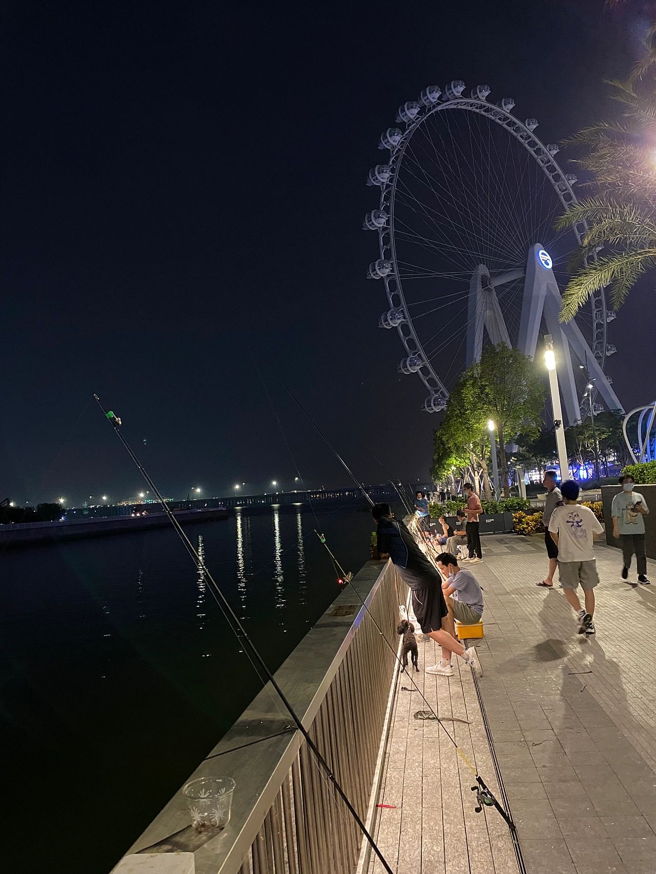 应该是深圳最美，最浪漫的钓鱼点了吧