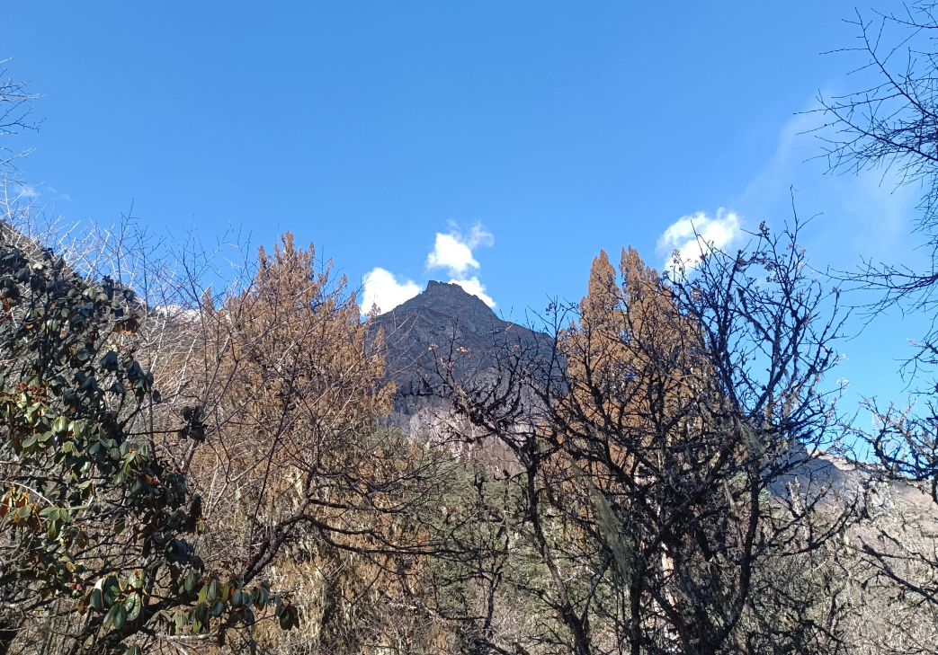 部分55岁延迟退休女老师真的让学校哭笑不得：
让她们退吧，学校没这个权利，人家不