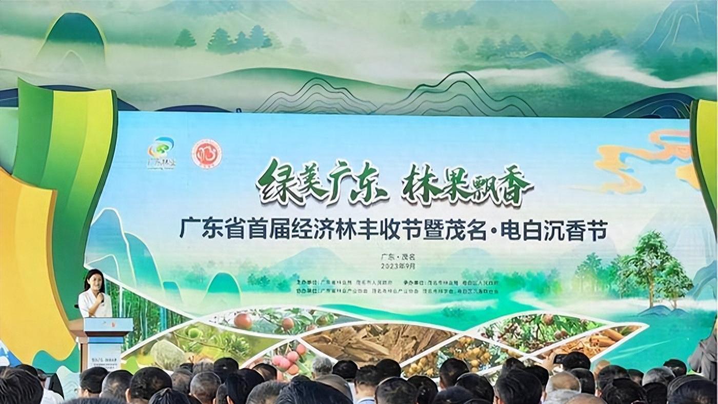 不愧是行业龙头，伍佰艺沉香新产品亮相茂名•电白沉香节受到追捧