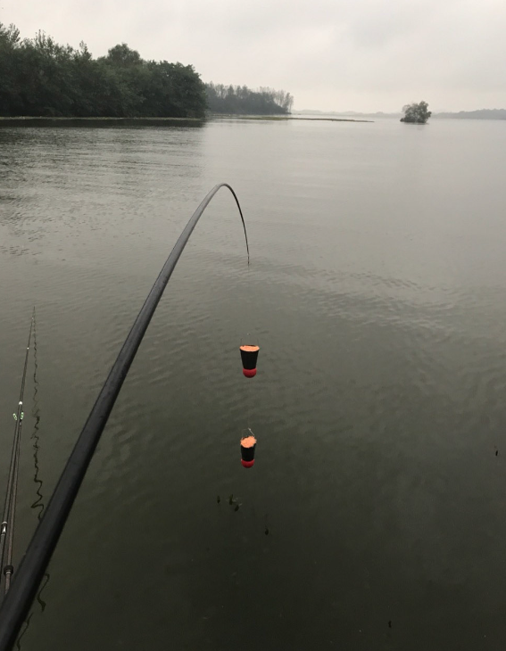 宝藏级别的免费钓鱼水库