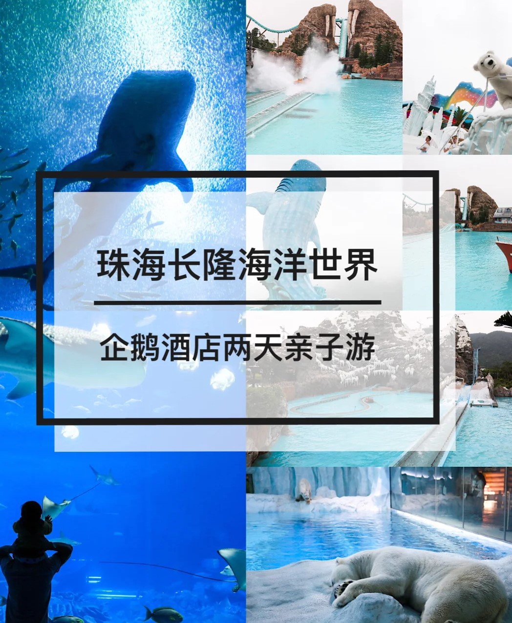 广州周边珠海长隆海洋王国企鹅酒店两天亲子