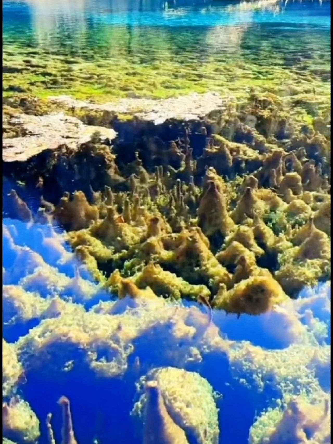 后海没有早点来，九寨沟四天三夜游玩攻略