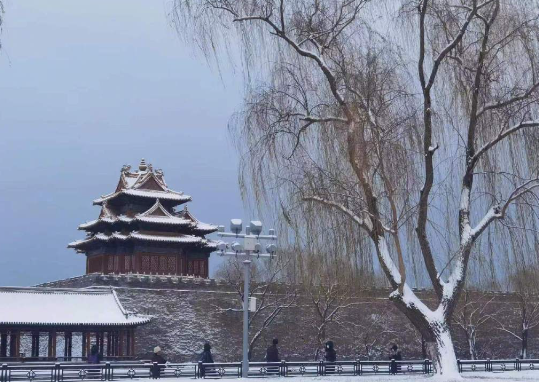北京下雪啦！你那里下雪了吗？雪是冬天独有的浪漫，快来参观