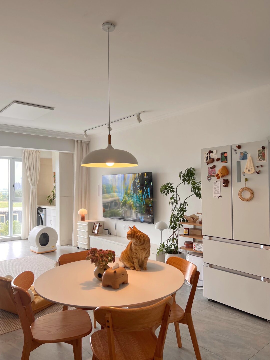 26岁住进dream home ，我和猫的宅家生活
真的很开心拥有了自己的家，可